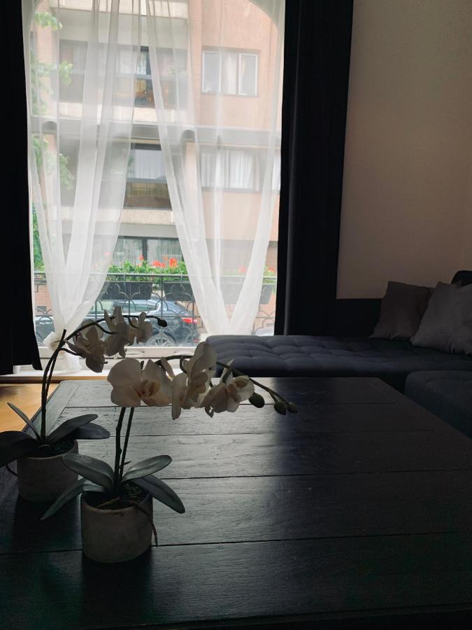 Chic Cocoon Maison d'hôtes Saint-Gilles